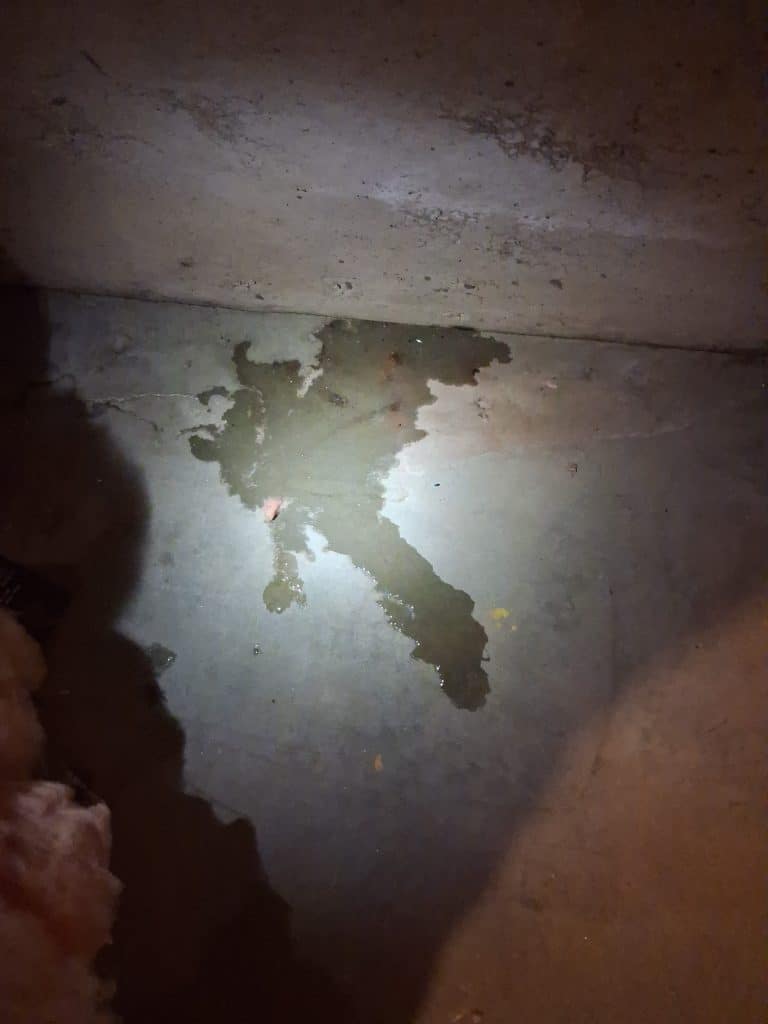 Leaking Hose Bibb Diagnostic on Plumbing in Frederick, MD