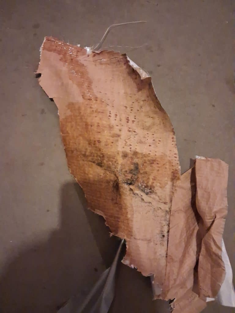 Leaking Hose Bibb Diagnostic on Plumbing in Frederick, MD