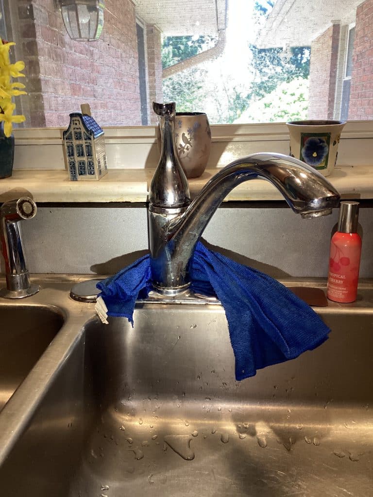 Garbage Disposal & Faucet Rebuild in Frederick, MD