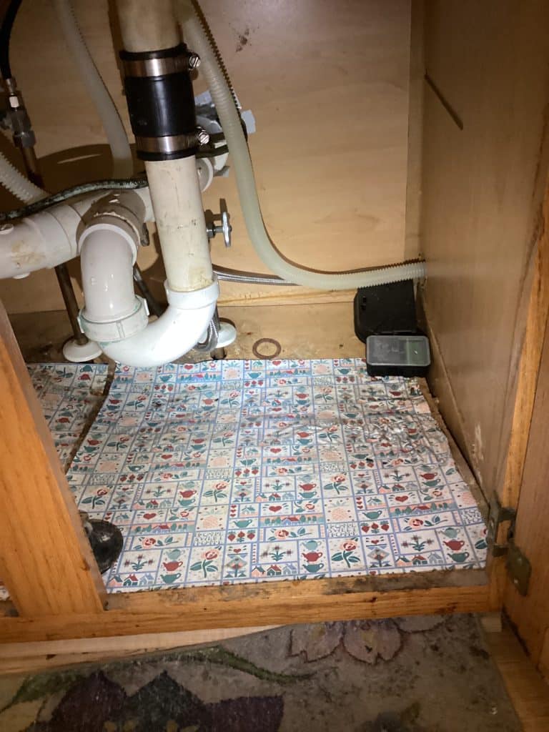 Garbage Disposal & Faucet Rebuild in Frederick, MD