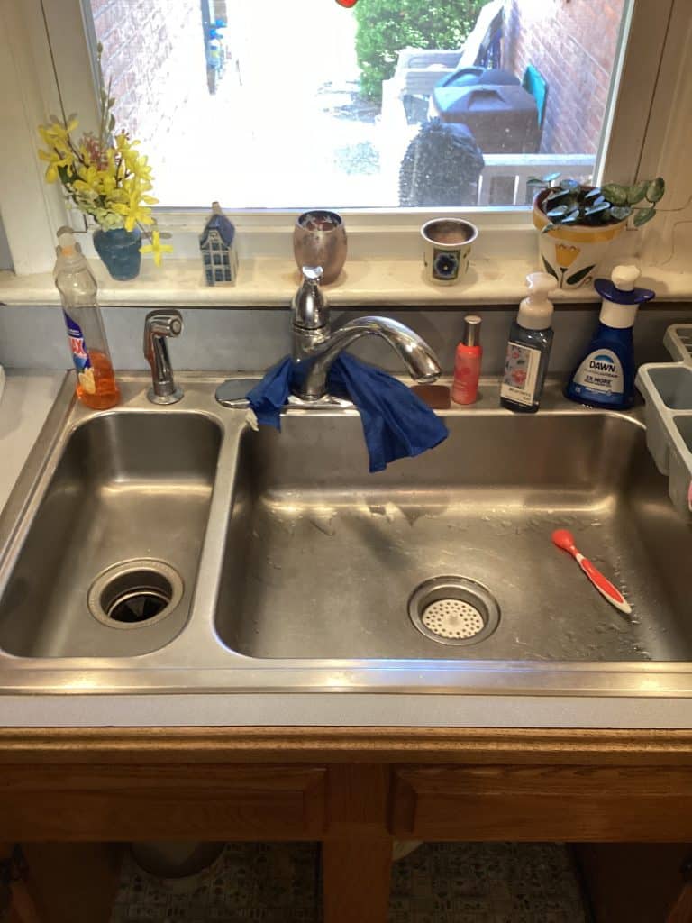 Garbage Disposal & Faucet Rebuild in Frederick, MD